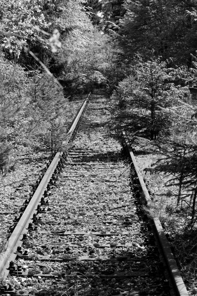 Muna