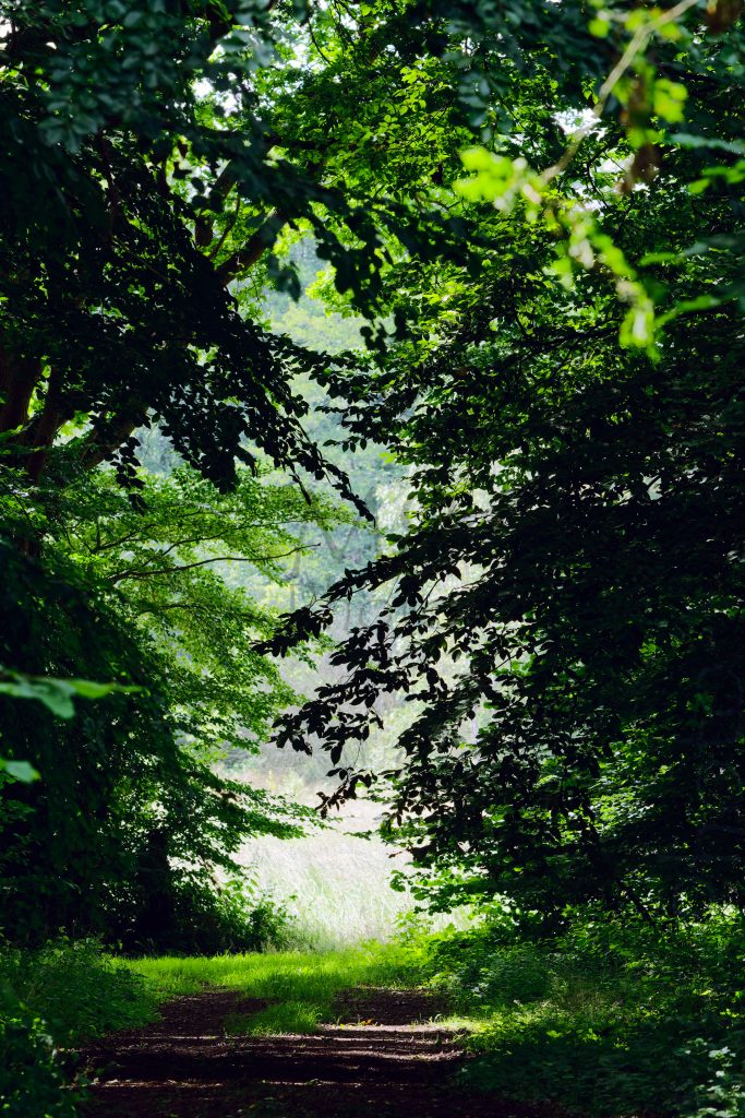 50 Shades of Green