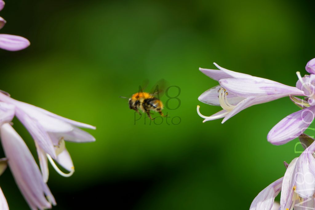 Fliegender Wechsel